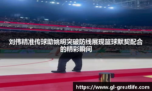 刘伟精准传球助姚明突破防线展现篮球默契配合的精彩瞬间