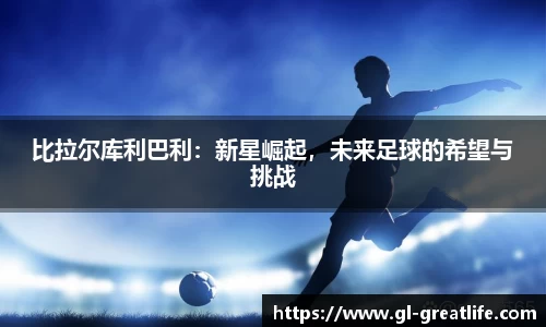 VSport胜利因您更精彩